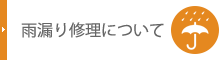 雨漏り修理について