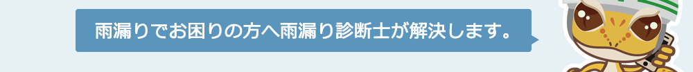 雨漏りでお困りの方へ、雨漏り診断士が解決します。